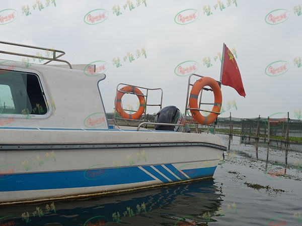 YH825剎車助力系統(tǒng)C5